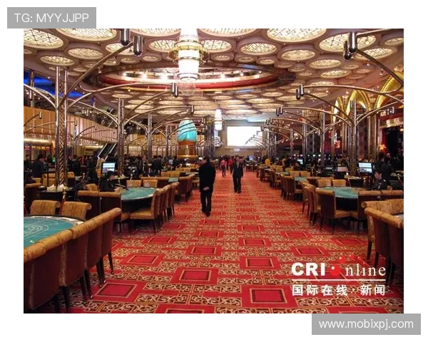 澳门新葡京娱乐官网入口安全可靠，畅享精彩博彩体验的最佳通道