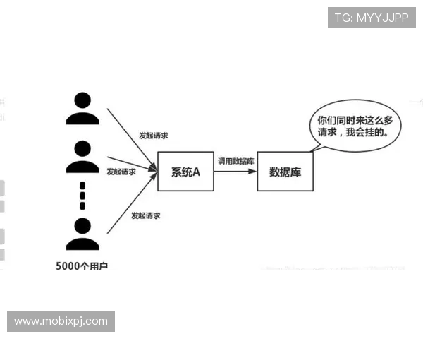 新甫京网站登录线路常见问题及解决方案全面解析