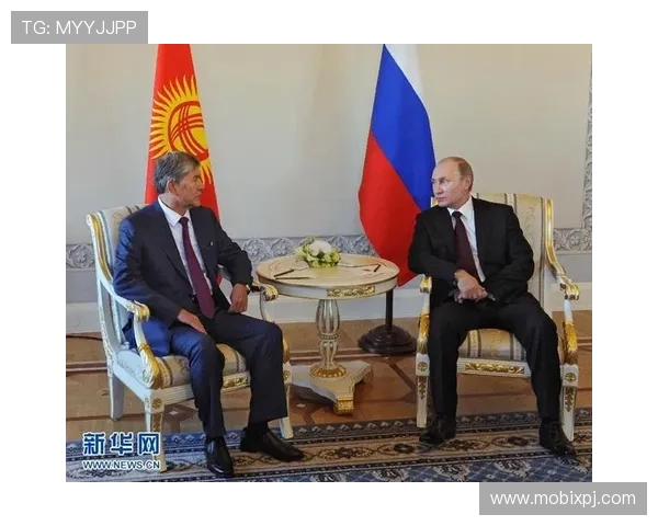 新普京人下载网址便捷入口,详细介绍下载安装流程与常见问题 新普京人下载网址便捷入口,详细介绍下载安装流程与常见问题