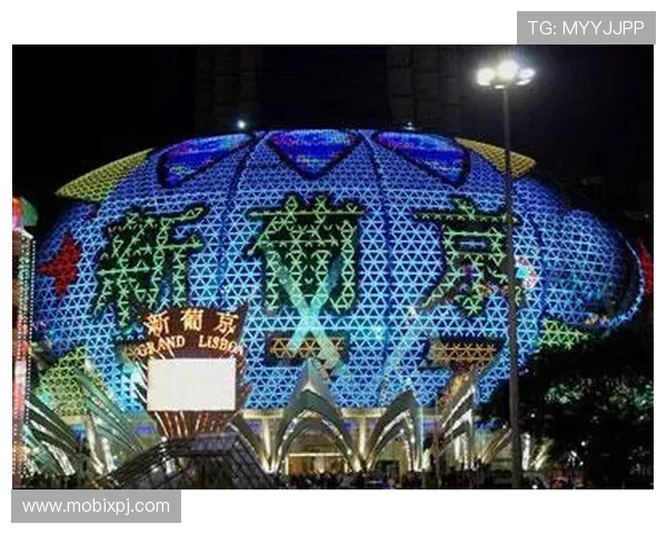 澳门新葡京国际娱乐：提供多样化的娱乐选择，满足不同客户的奢华娱乐体验需求