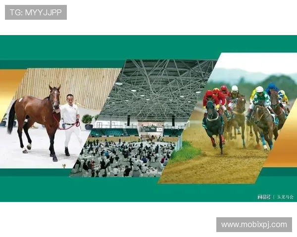 如何选择正规马会投注游戏网址，保障资金安全与投注公平的实用指南