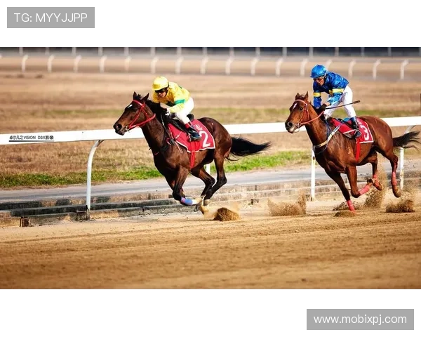 如何在赛马会真人国际平台上实现稳定高效的游戏体验与资金安全 如何在赛马会真人国际平台上实现稳定高效的游戏体验与资金安全
