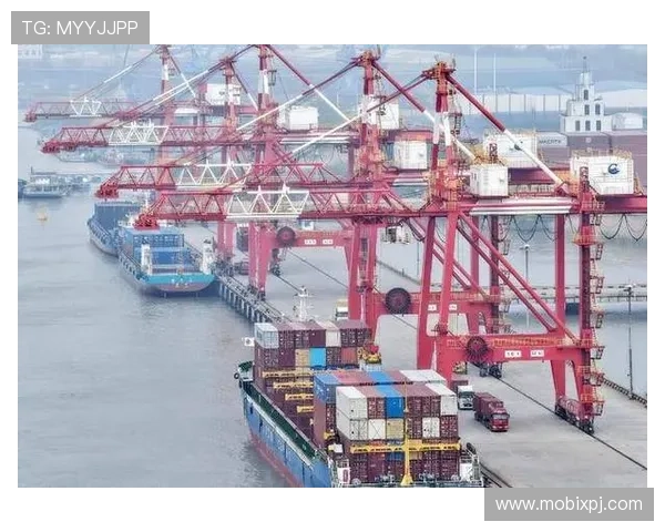 澳门六合彩国际入口正规渠道，确保每一次投注都公平透明高效